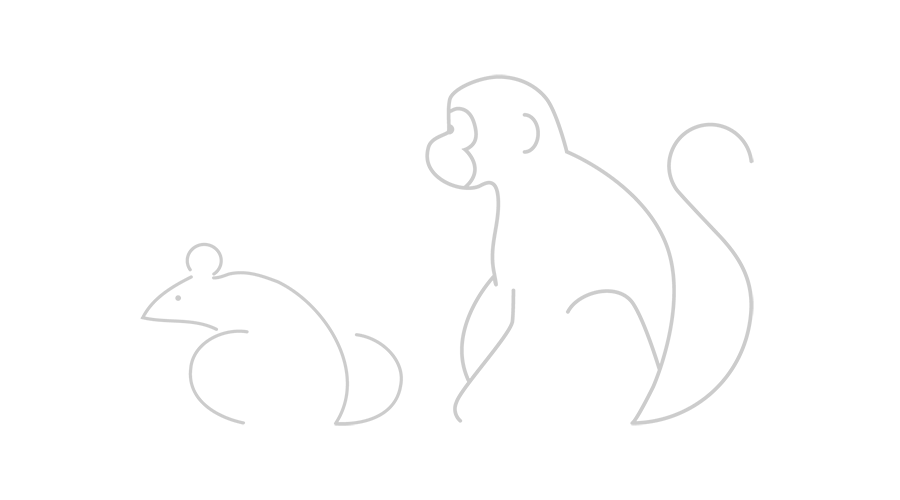 Mouse & Monkey Mouse and Monkey