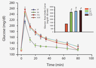 Diabetes Insulin Resistance