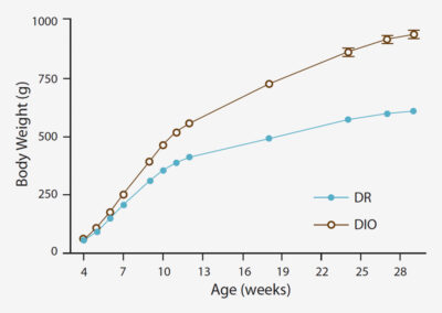 Diet and Obesity