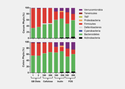 Diet Choice Affects Metabolic/Microbiome Research