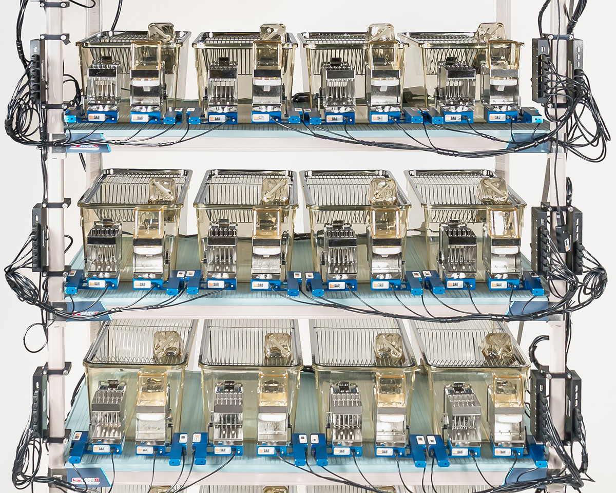 BioDAK Racks
